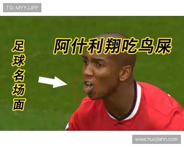 阿什利扬球队贡献