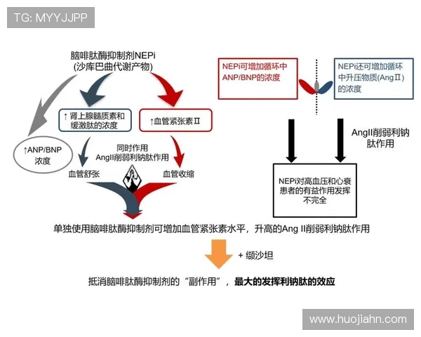 日本F组三大优势盘点 日本F组三大优势盘点